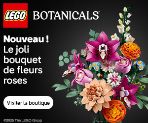 LEGO EU – FR: Botanicals Pretty Pink Flower Bouquet (10342)